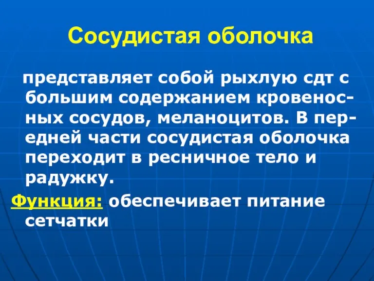 Сосудистая оболочка представляет собой рыхлую сдт с большим содержанием кровенос-ных