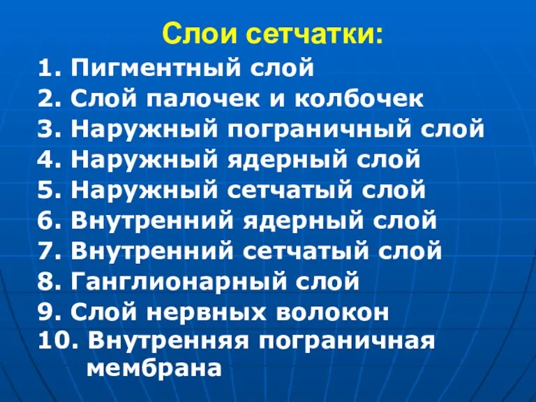 Слои сетчатки: 1. Пигментный слой 2. Слой палочек и колбочек 3. Наружный пограничный