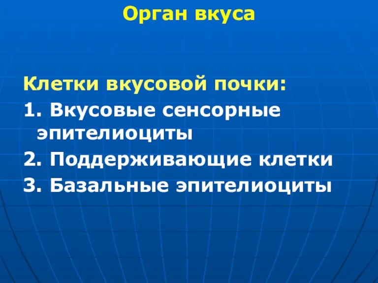 Клетки вкусовой почки: 1. Вкусовые сенсорные эпителиоциты 2. Поддерживающие клетки 3. Базальные эпителиоциты Орган вкуса