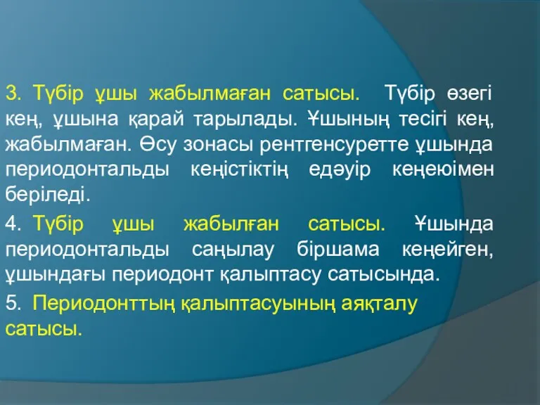 3. Түбір ұшы жабылмаған сатысы. Түбір өзегі кең, ұшына қарай тарылады. Ұшының тесігі