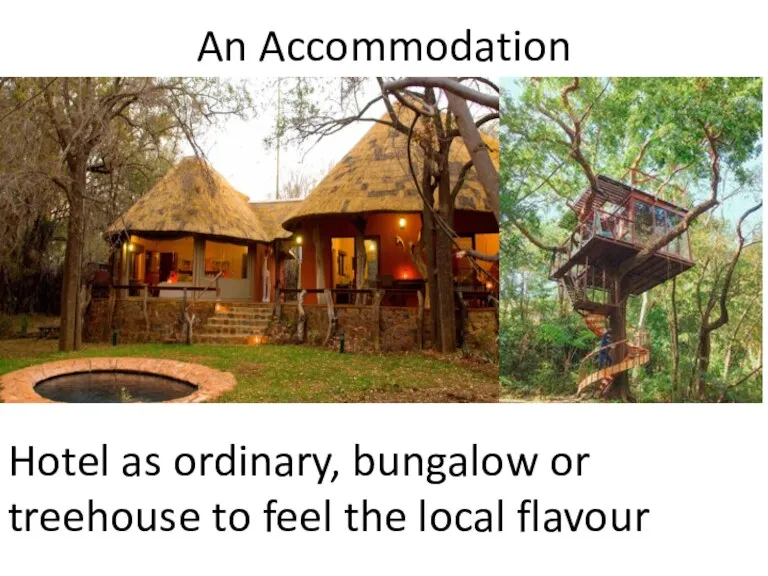 An Accommodation Hotel as ordinary, bungalow or treehouse to feel the local flavour