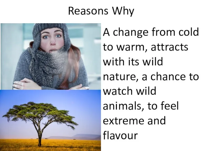 Reasons Why A change from cold to warm, attracts with