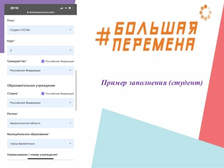 Пример заполнения (студент)