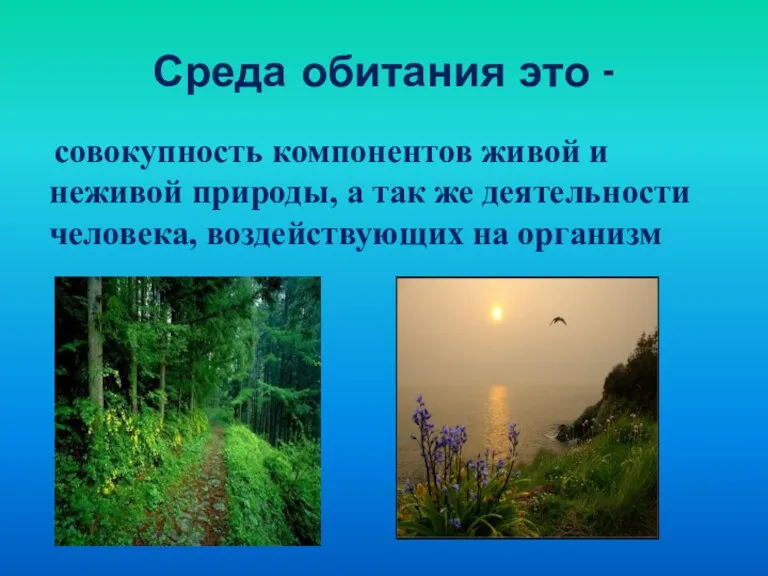 Среда обитания это - совокупность компонентов живой и неживой природы,