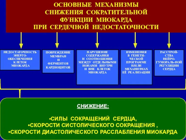 СНИЖЕНИЕ: •СИЛЫ СОКРАЩЕНИЙ СЕРДЦА, •СКОРОСТИ СИСТОЛИЧЕСКОГО СОКРАЩЕНИЯ , •СКОРОСТИ ДИАСТОЛИЧЕСКОГО РАССЛАБЛЕНИЯ МИОКАРДА