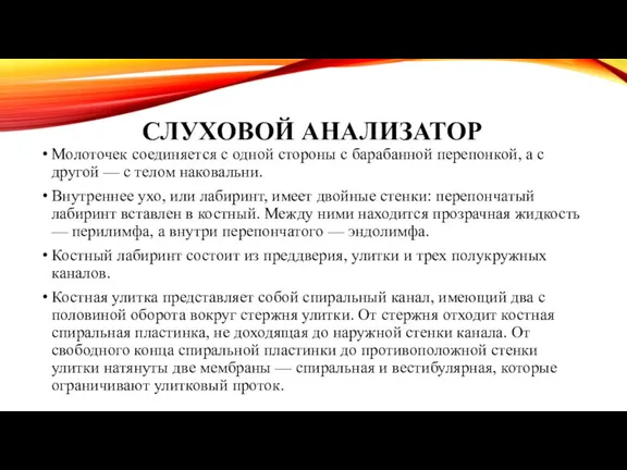 СЛУХОВОЙ АНАЛИЗАТОР Молоточек соединяется с одной стороны с бара­банной перепонкой,