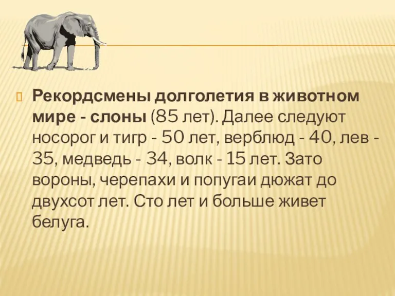 Рекордсмены долголетия в животном мире - слоны (85 лет). Далее следуют носорог и