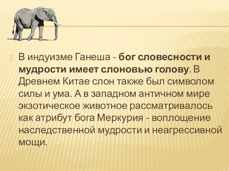 В индуизме Ганеша - бог словесности и мудрости имеет слоновью голову. В Древнем