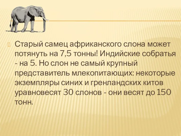 Старый самец африканского слона может потянуть на 7,5 тонны! Индийские собратья - на