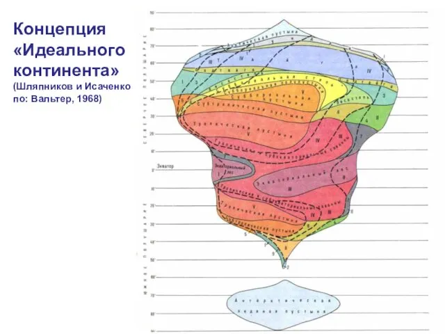 Концепция «Идеального континента» (Шляпников и Исаченко по: Вальтер, 1968)