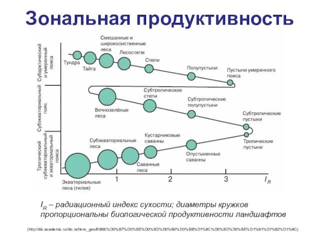 Зональная продуктивность IR – радиационный индекс сухости; диаметры кружков пропорциональны биологической продуктивности ландшафтов (http://dic.academic.ru/dic.nsf/enc_geo/6368/%D0%B7%D0%BE%D0%BD%D0%B0%D0%BB%D1%8C%D0%BD%D0%BE%D1%81%D1%82%D1%8C)