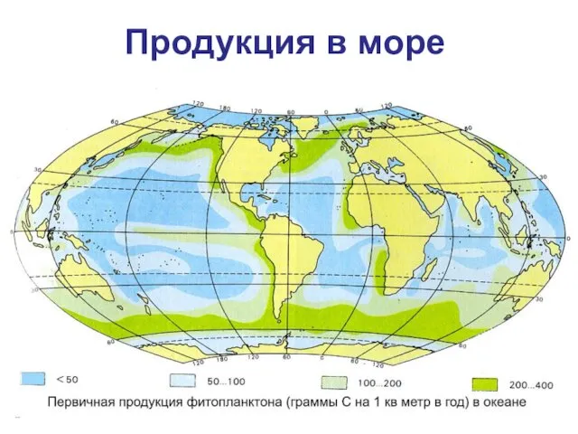 Продукция в море