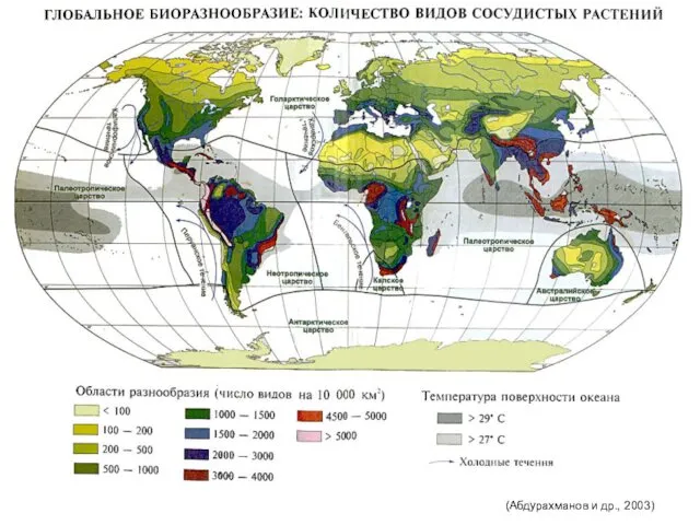 (Абдурахманов и др., 2003)