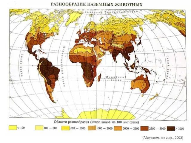 (Абдурахманов и др., 2003)
