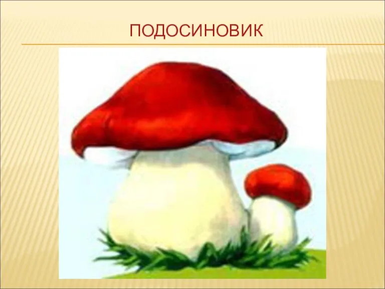 ПОДОСИНОВИК