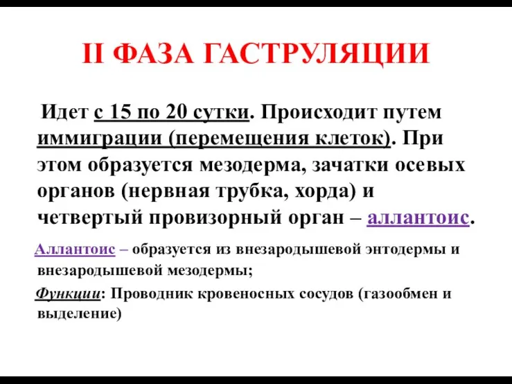 II ФАЗА ГАСТРУЛЯЦИИ Идет с 15 по 20 сутки. Происходит путем иммиграции (перемещения