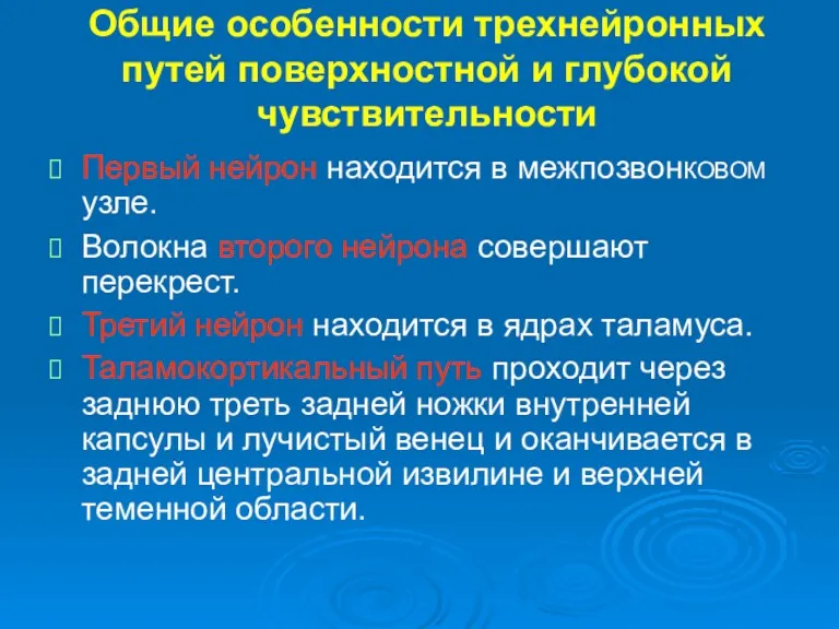 Общие особенности трехнейронных путей поверхностной и глубокой чувствительности Первый нейрон