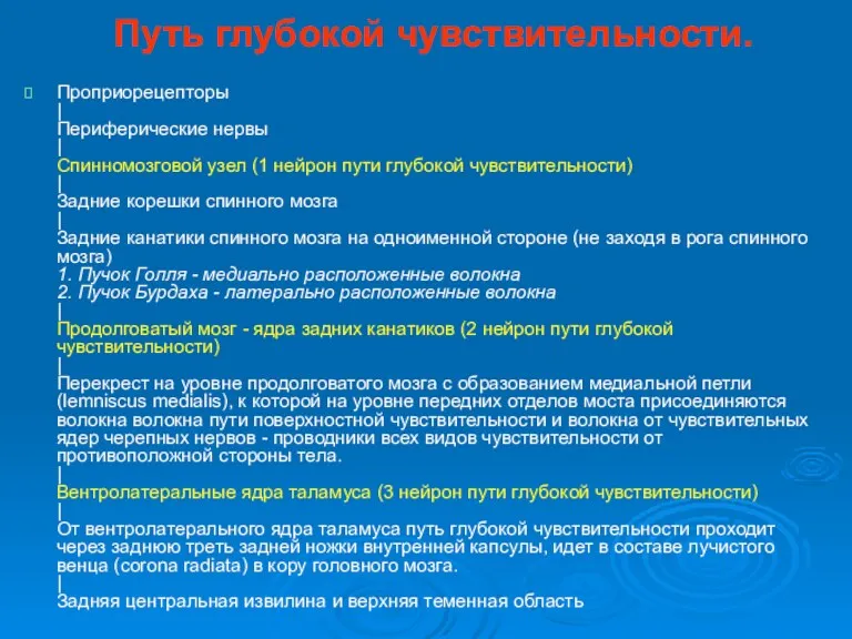 Путь глубокой чувствительности. Проприорецепторы | Периферические нервы | Спинномозговой узел