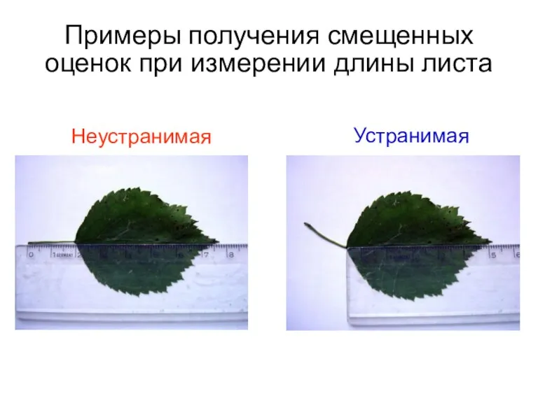 Примеры получения смещенных оценок при измерении длины листа Устранимая Неустранимая