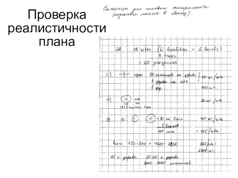 Проверка реалистичности плана