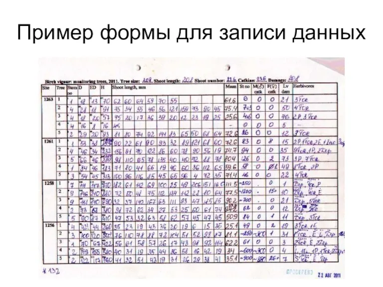 Пример формы для записи данных