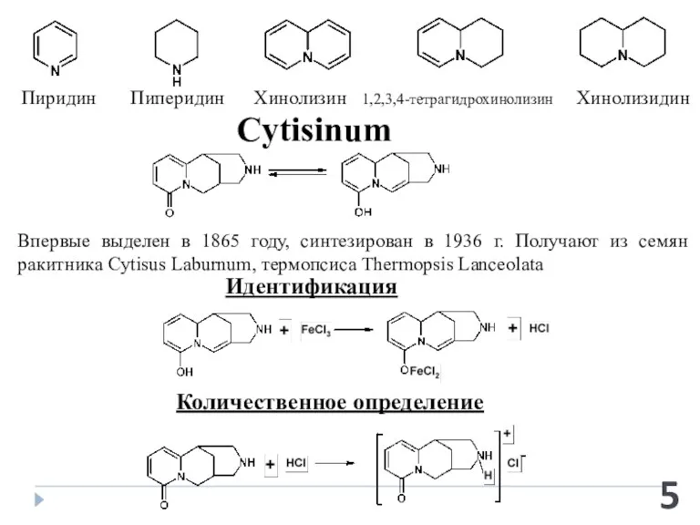 Пиридин Пиперидин Хинолизин 1,2,3,4-тетрагидрохинолизин Хинолизидин Cytisinum Впервые выделен в 1865 году, синтезирован в