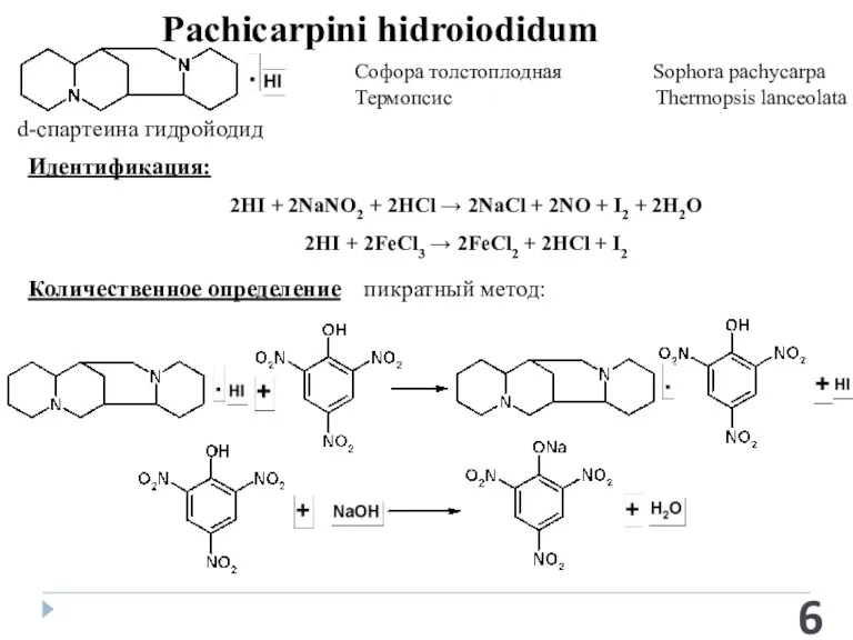 Pachicarpini hidroiodidum Софора толстоплодная Sophora pachycarpa Термопсис Thermopsis lanceolata Идентификация: Количественное определение пикратный