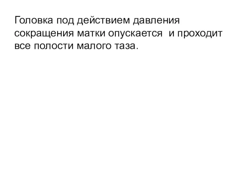 Головка под действием давления сокращения матки опускается и проходит все полости малого таза.