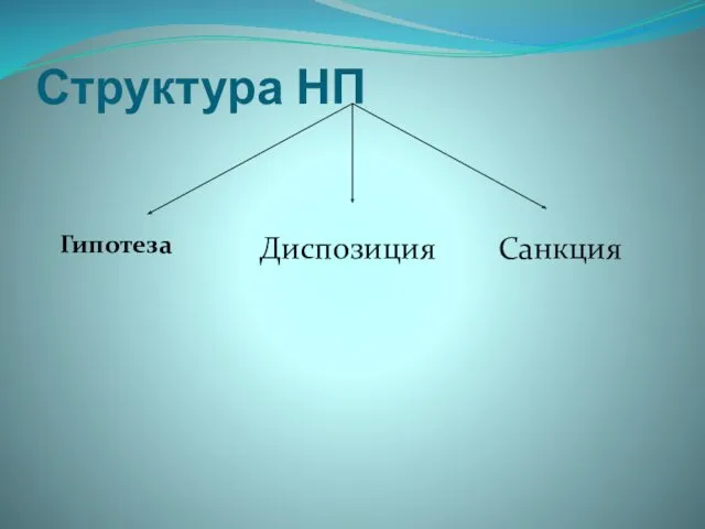 Структура НП Гипотеза Диспозиция Санкция