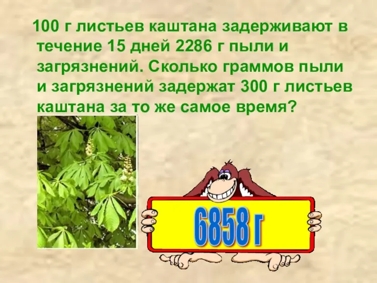 100 г листьев каштана задерживают в течение 15 дней 2286