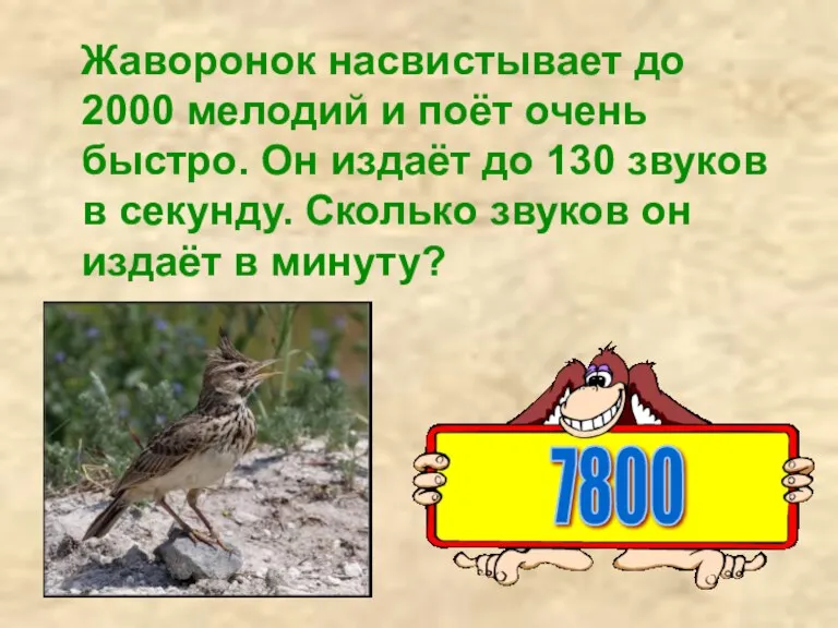 Жаворонок насвистывает до 2000 мелодий и поёт очень быстро. Он