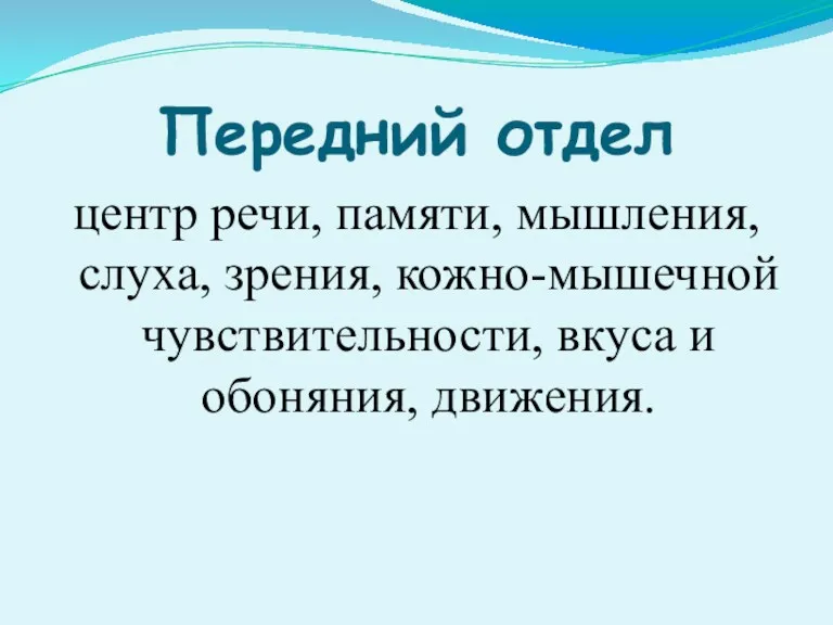 Передний отдел центр речи, памяти, мышления, слуха, зрения, кожно-мышечной чувствительности, вкуса и обоняния, движения.