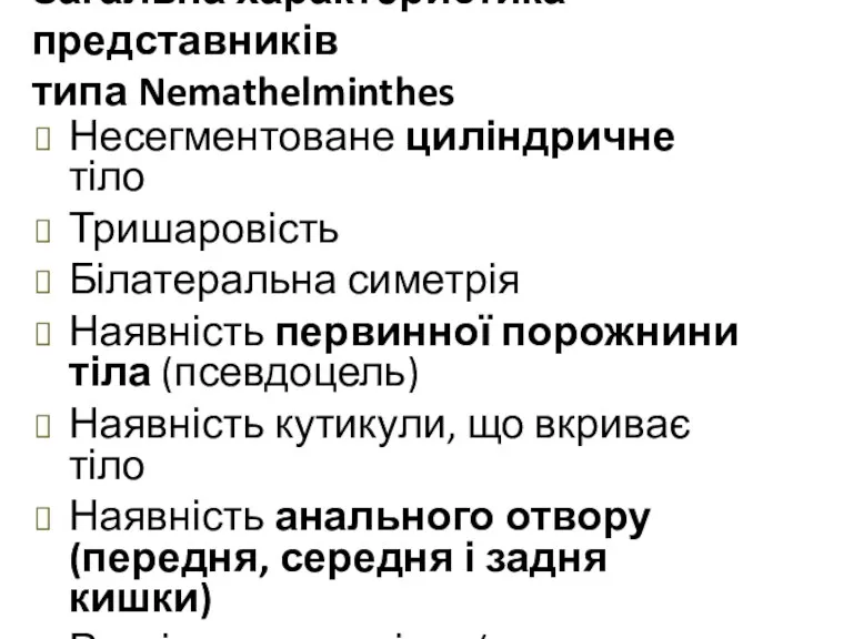 Загальна характеристика представників типа Nemathelminthes Несегментоване циліндричне тіло Тришаровість Білатеральна симетрія Наявність первинної