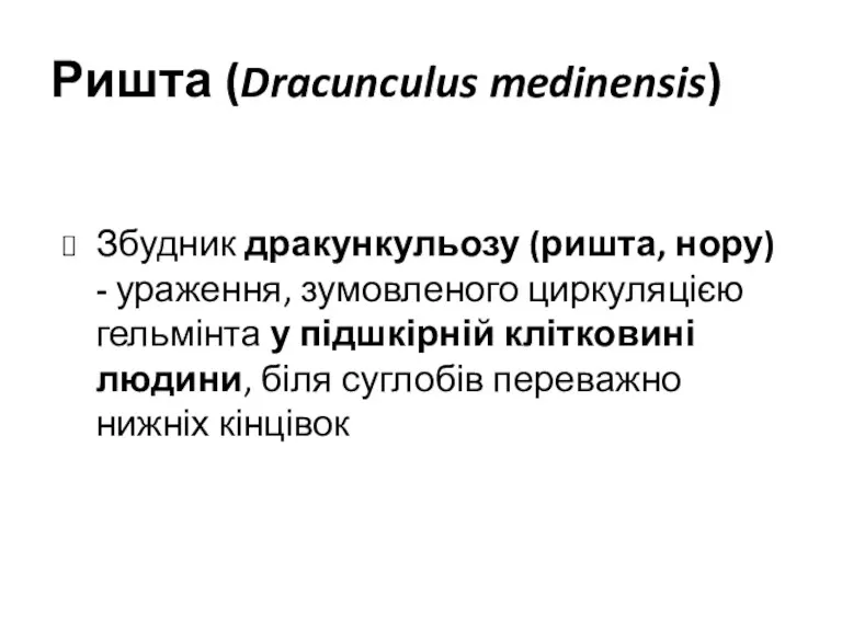 Ришта (Dracunculus medinensis) Збудник дракункульозу (ришта, нору) - ураження, зумовленого циркуляцією гельмінта у