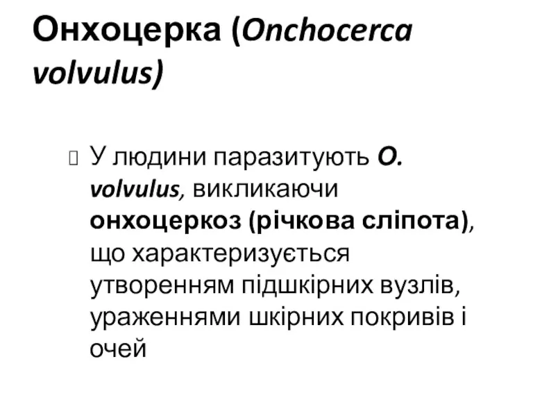 Онхоцерка (Onchocerca volvulus) У людини паразитують О. volvulus, викликаючи онхоцеркоз (річкова сліпота), що