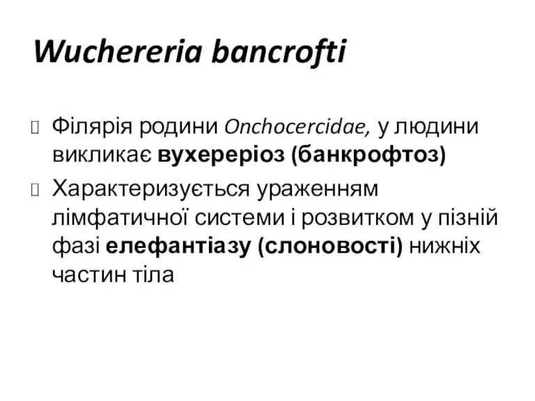 Wuchereria bancrofti Філярія родини Onchocercidae, у людини викликає вухереріоз (банкрофтоз) Характеризується ураженням лімфатичної