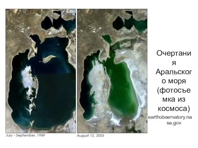 Очертания Аральского моря (фотосъемка из космоса) earthobservatory.nasa.gov