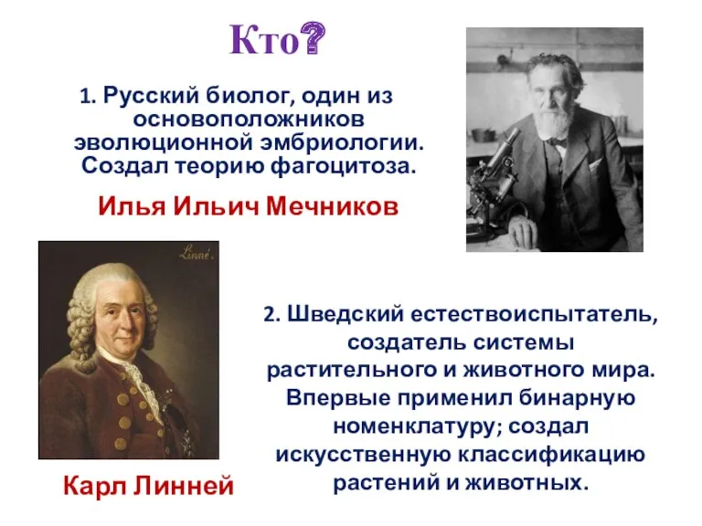 1. Русский биолог, один из основоположников эволюционной эмбриологии. Создал теорию