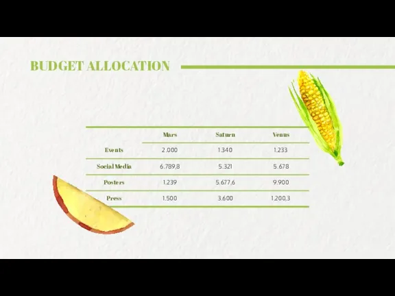 BUDGET ALLOCATION