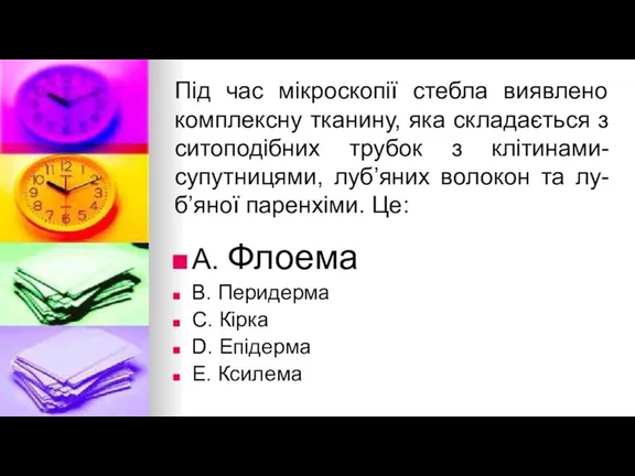 Пiд час мiкроскопiї стебла виявлено комплексну тканину, яка складається з