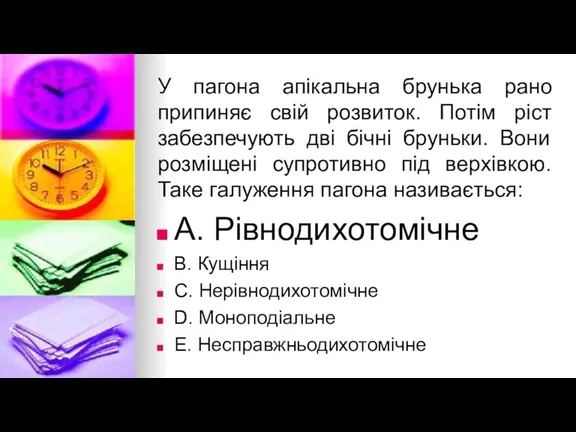 У пагона апiкальна брунька рано припиняє свiй розвиток. Потiм рiст