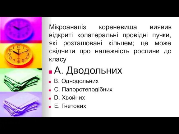 Мiкроаналiз кореневища виявив вiдкритi колатеральнi провiднi пучки, якi розташованi кiльцем;