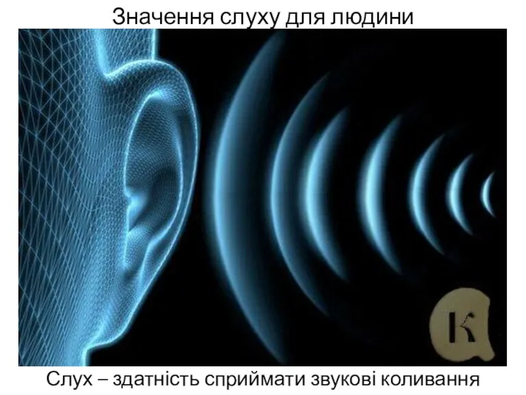 Значення слуху для людини Слух – здатність сприймати звукові коливання