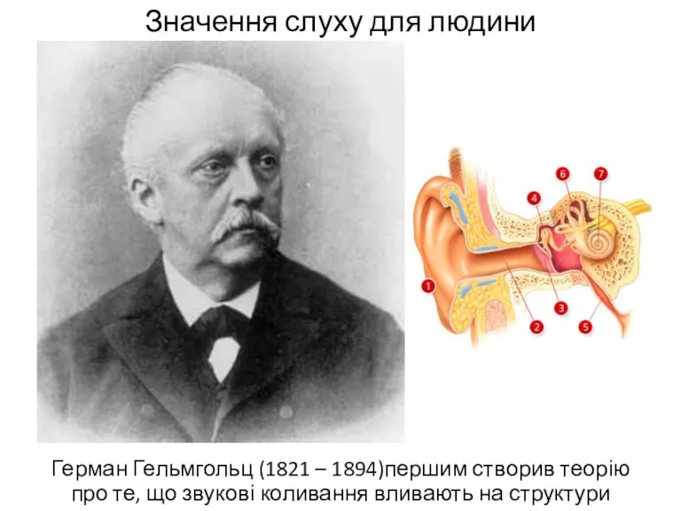 Значення слуху для людини Герман Гельмгольц (1821 – 1894)першим створив