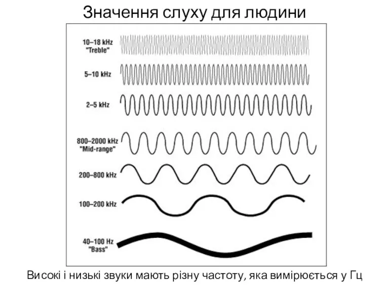 Значення слуху для людини Високі і низькі звуки мають різну частоту, яка вимірюється у Гц