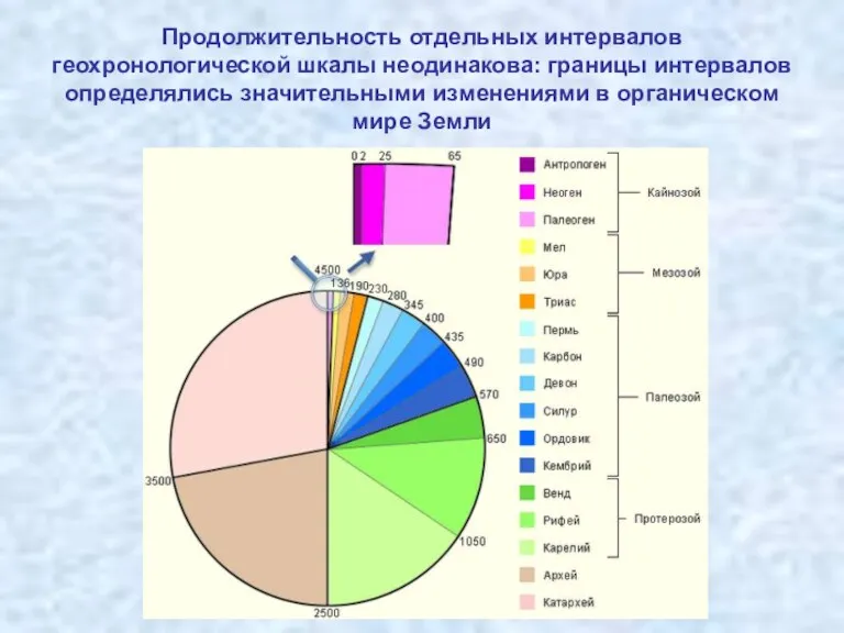 Продолжительность отдельных интервалов геохронологической шкалы неодинакова: границы интервалов определялись значительными изменениями в органическом мире Земли