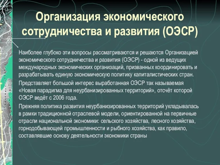 Организация экономического сотрудничества и развития (ОЭСР) Наиболее глубоко эти вопросы