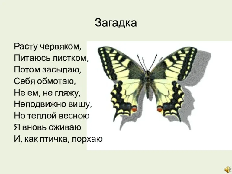 Загадка Расту червяком, Питаюсь листком, Потом засыпаю, Себя обмотаю, Не