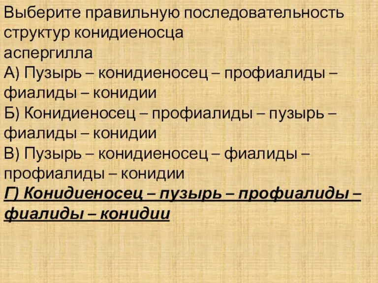 Выберите правильную последовательность структур конидиеносца аспергилла А) Пузырь – конидиеносец