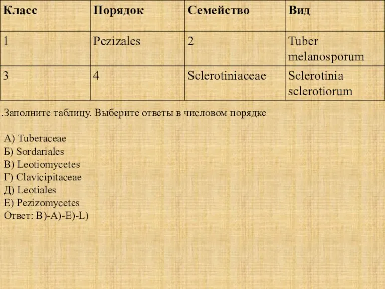 Заполните таблицу. Выберите ответы в числовом порядке А) Tuberaceae Б)